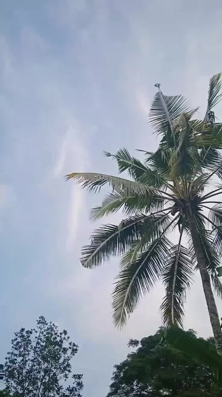 @sntd