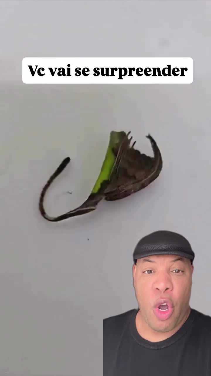 @Luciano Santos