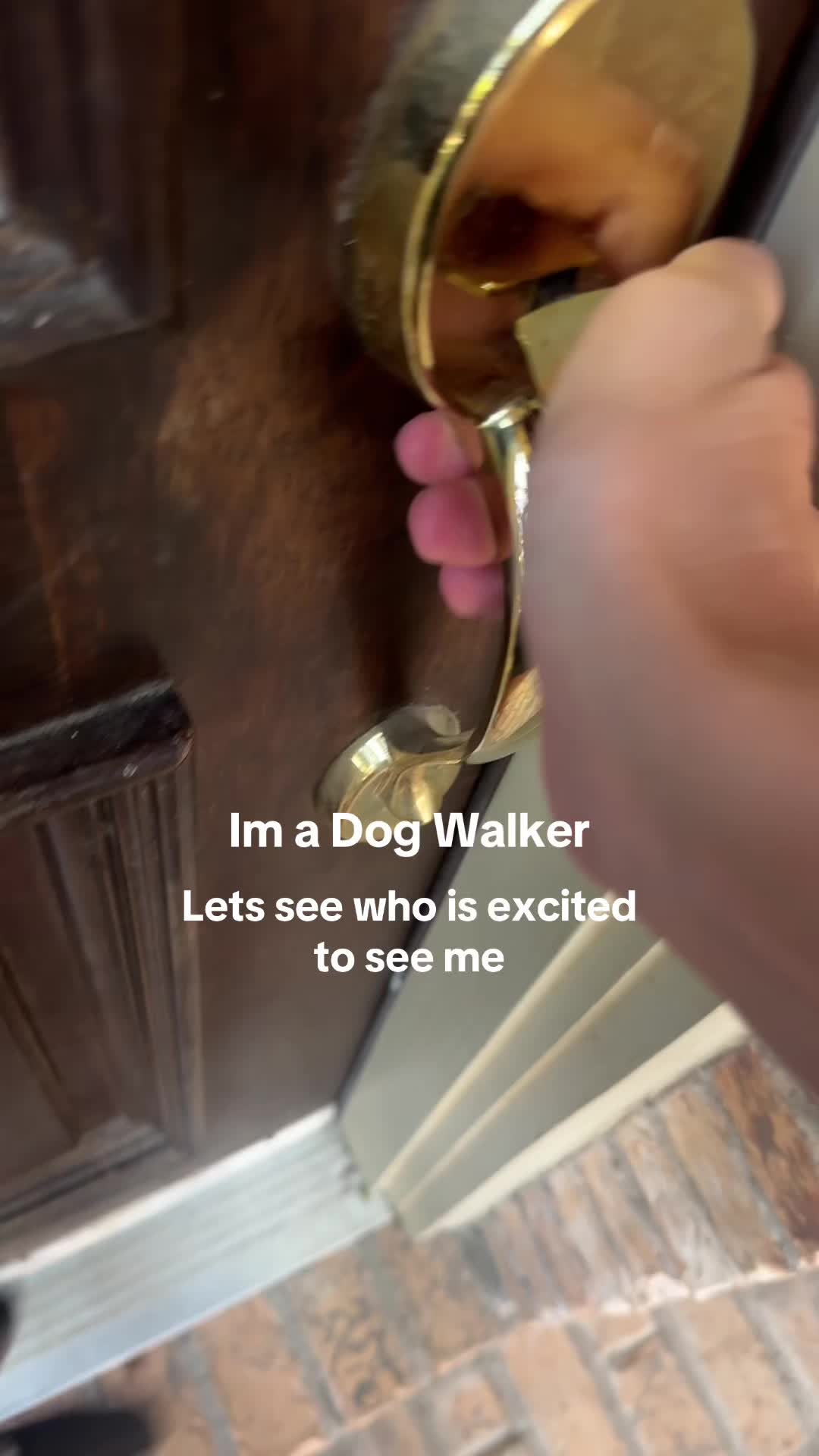 @dallasdogwalker