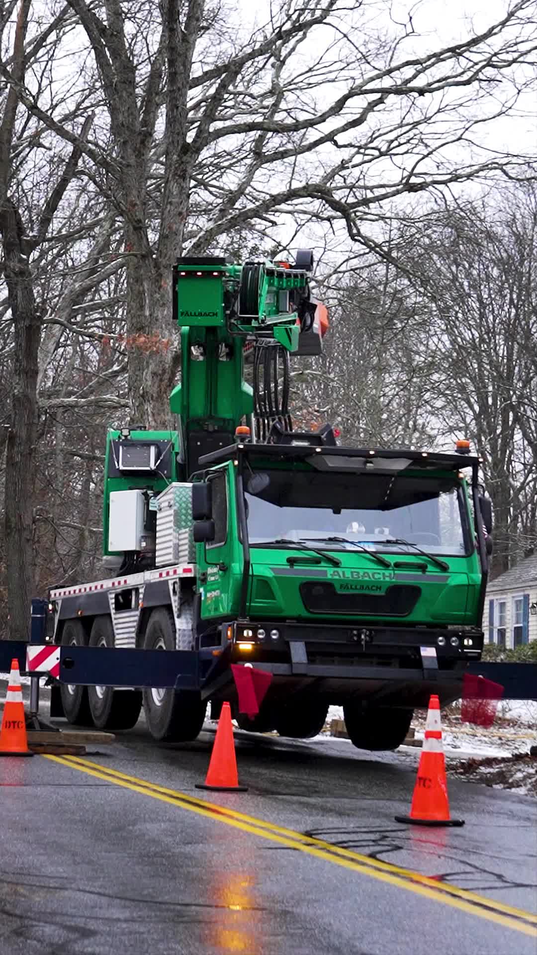 @DistinctiveTreeCare
