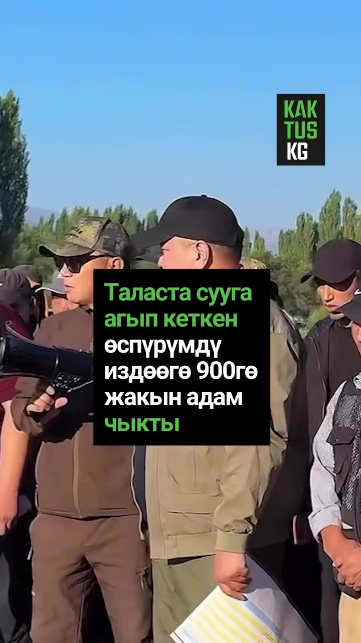 @Kaktus KG