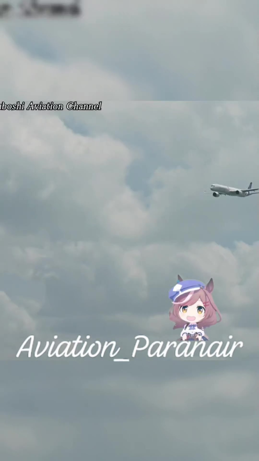 @Aviation_Paranair🇵🇾