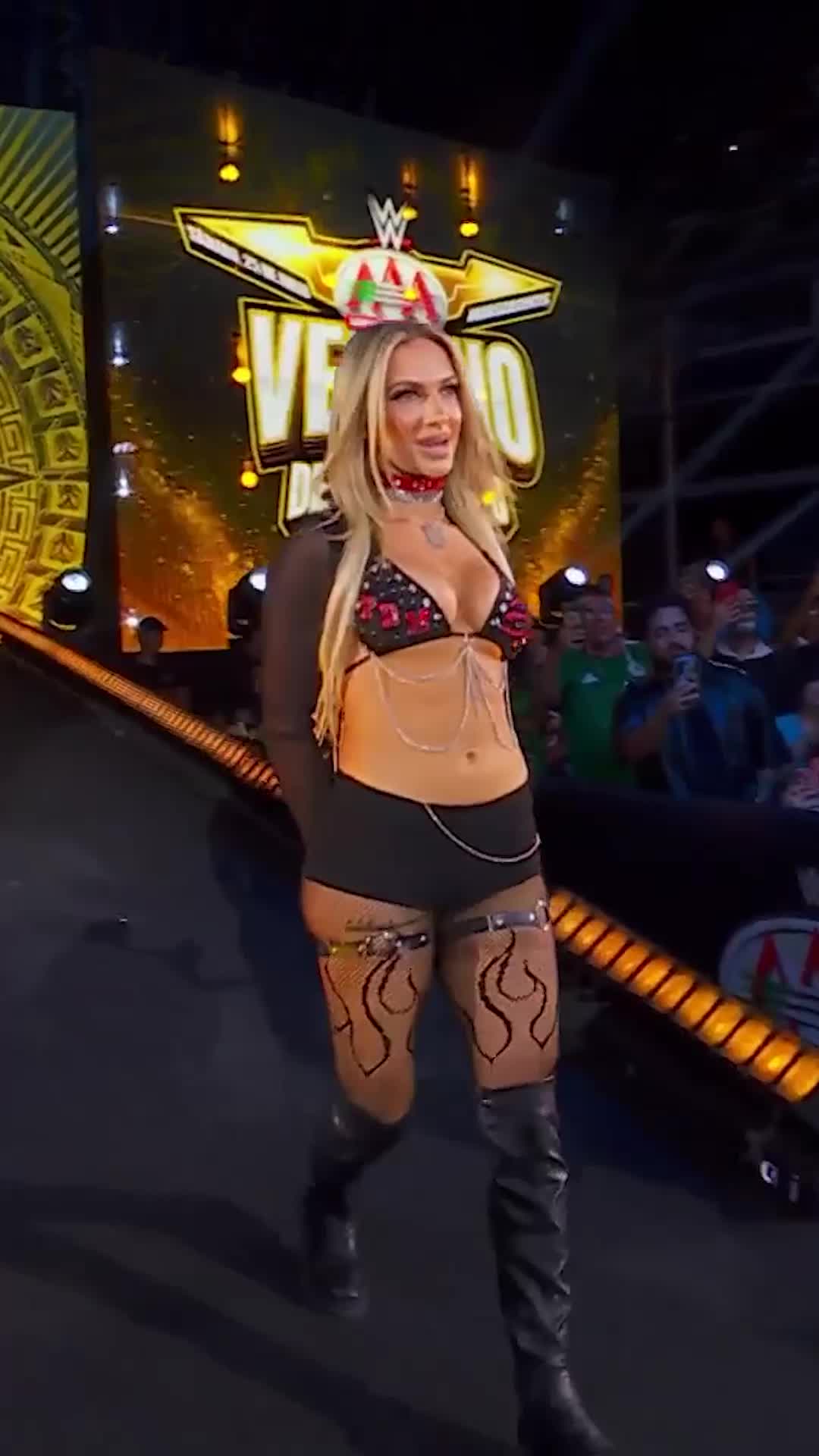 @Lucha Libre AAA