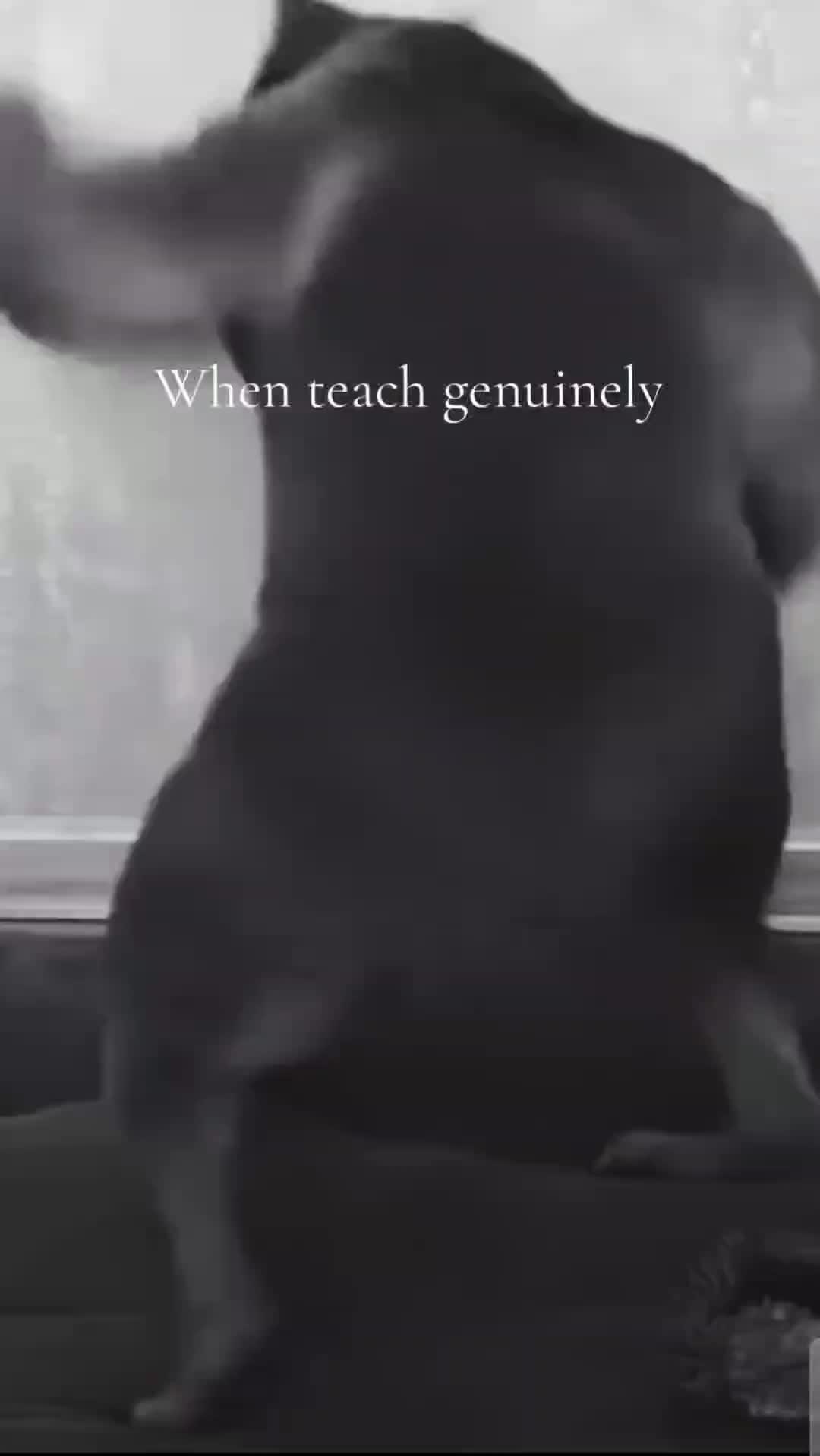 @Lynkinsoobased