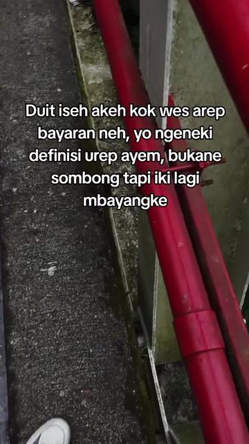 @v-niz