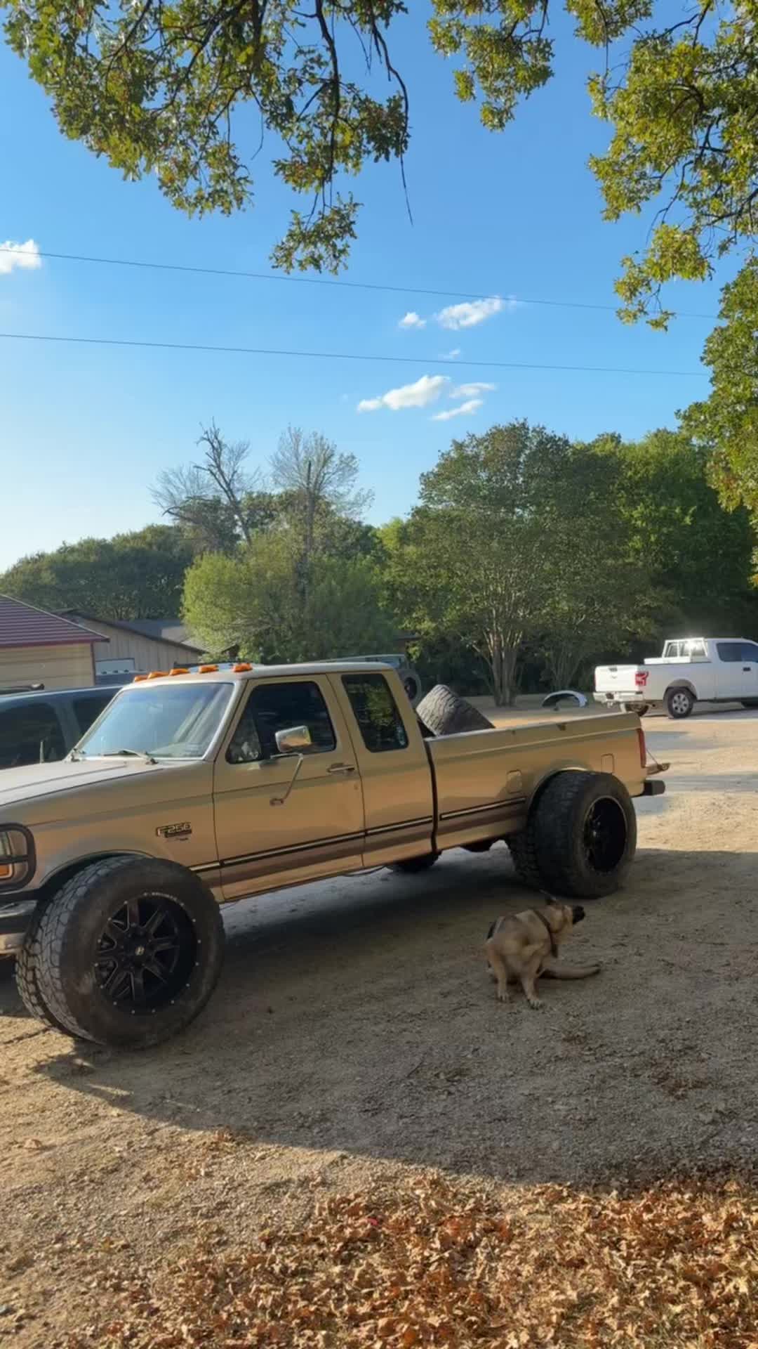 @That_bronze.obs