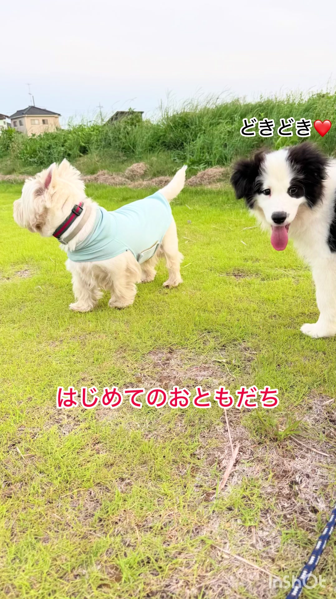 @ミウラ&bull;リョーコ(イーツカ&bull;リョーコ)