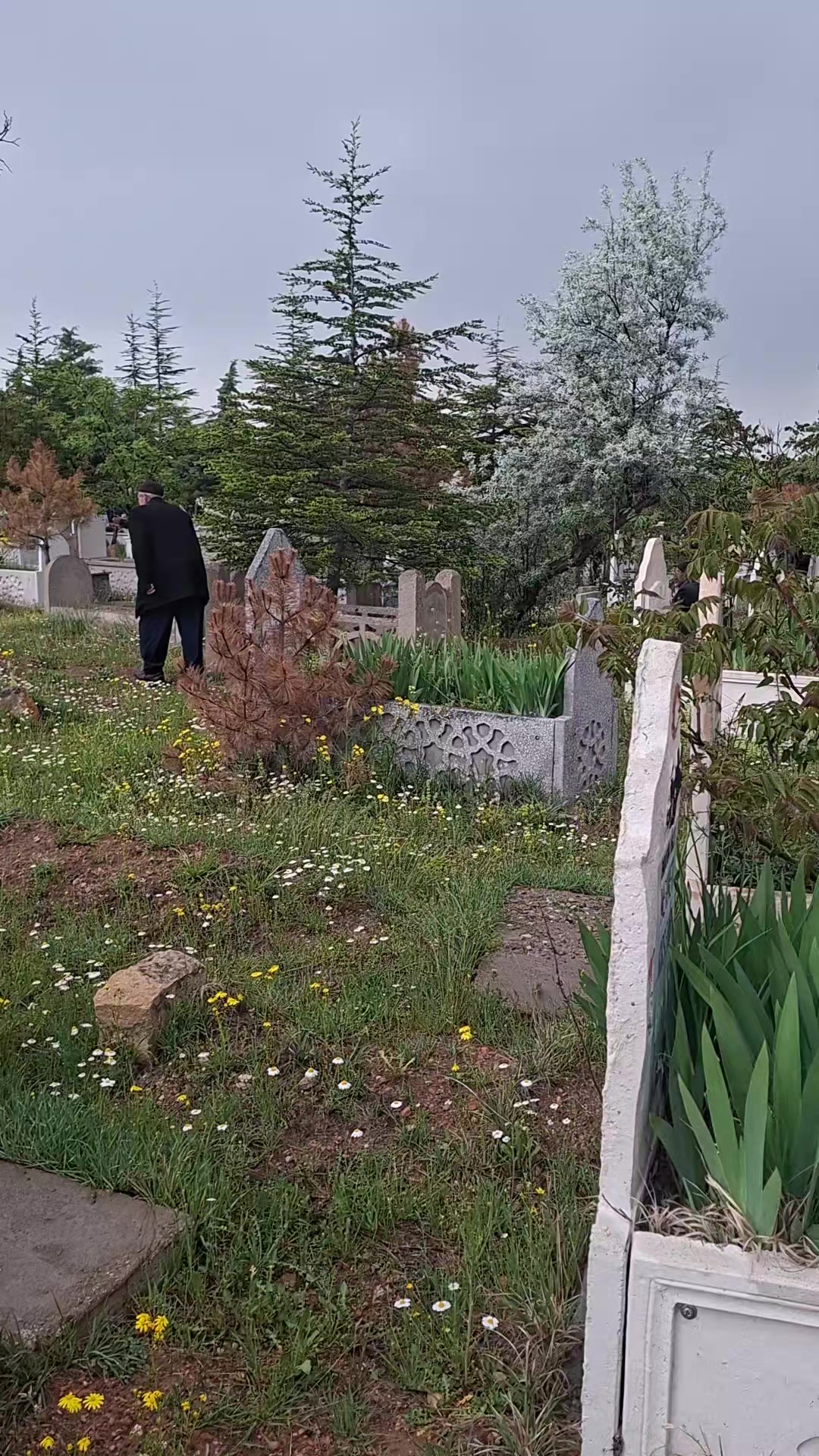 @Erkan
