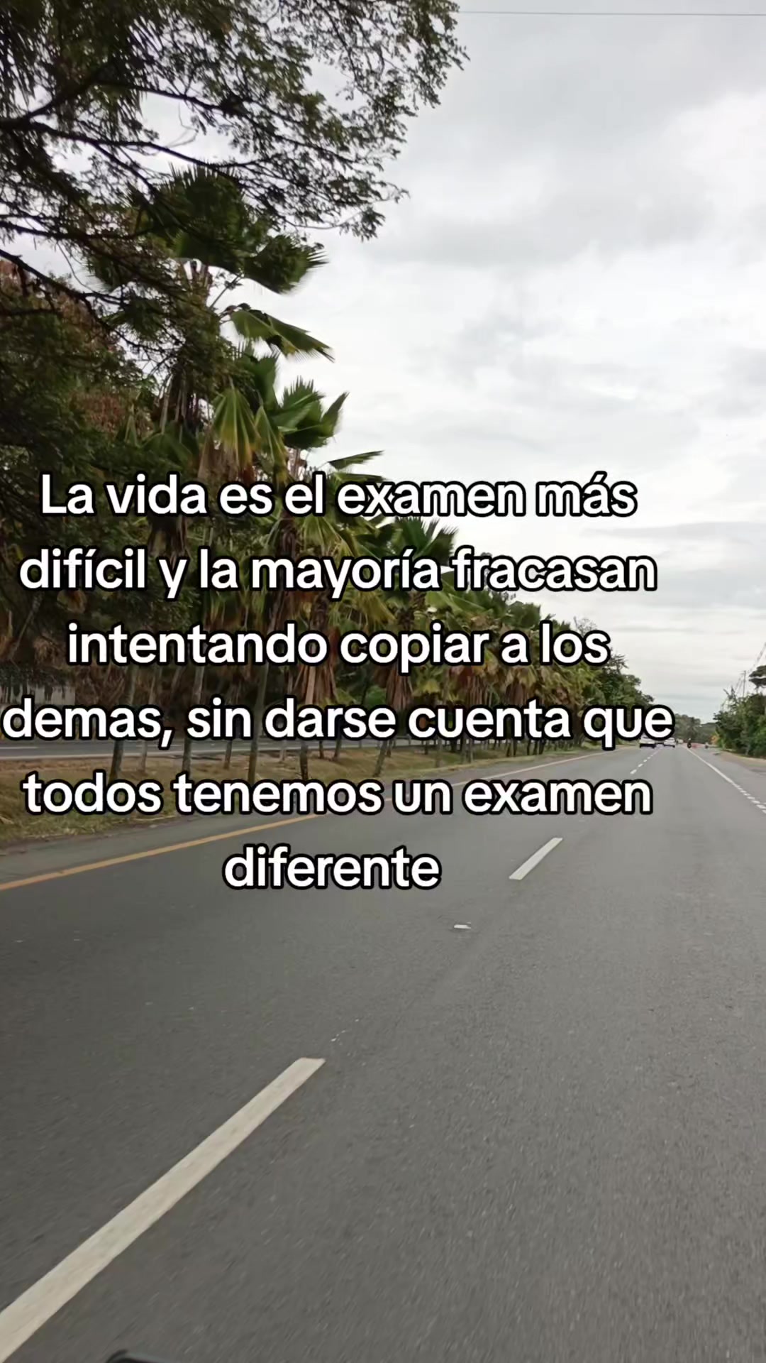 @luz