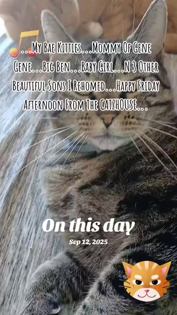 @Booh Hovey crazycatlady3