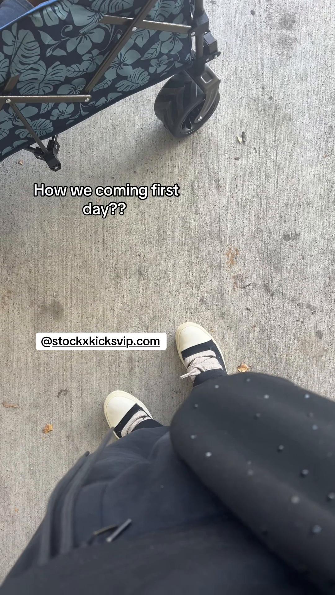 @dogssajah