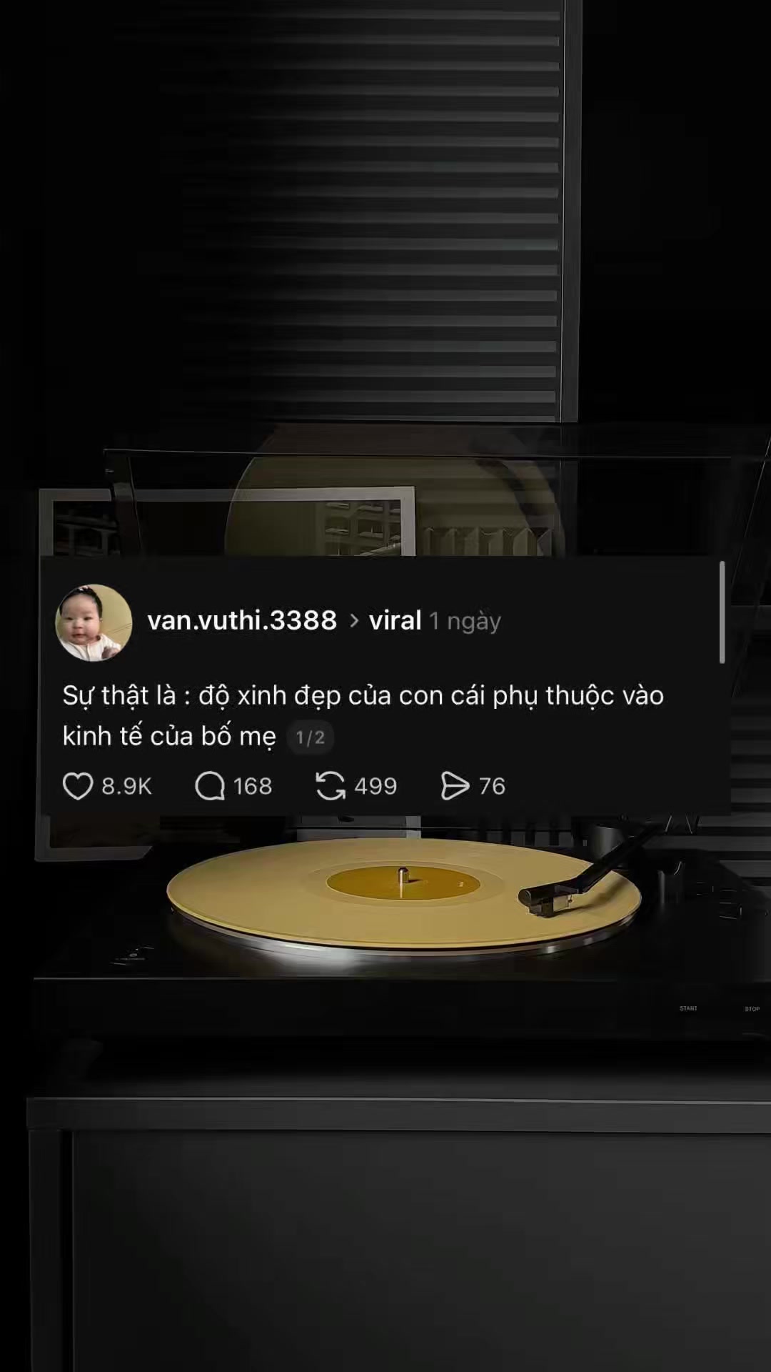 @Nằm vùng mxh 🤡