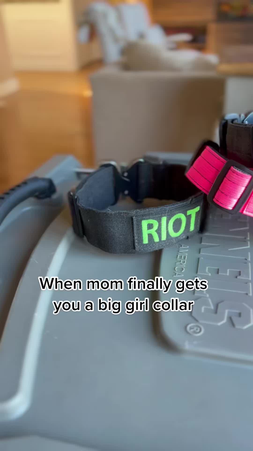 @MALIGATORMON