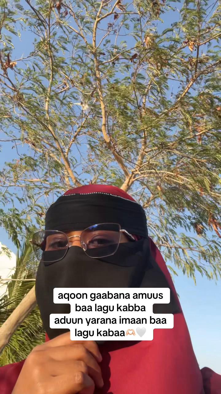 @Arwo~Abshir