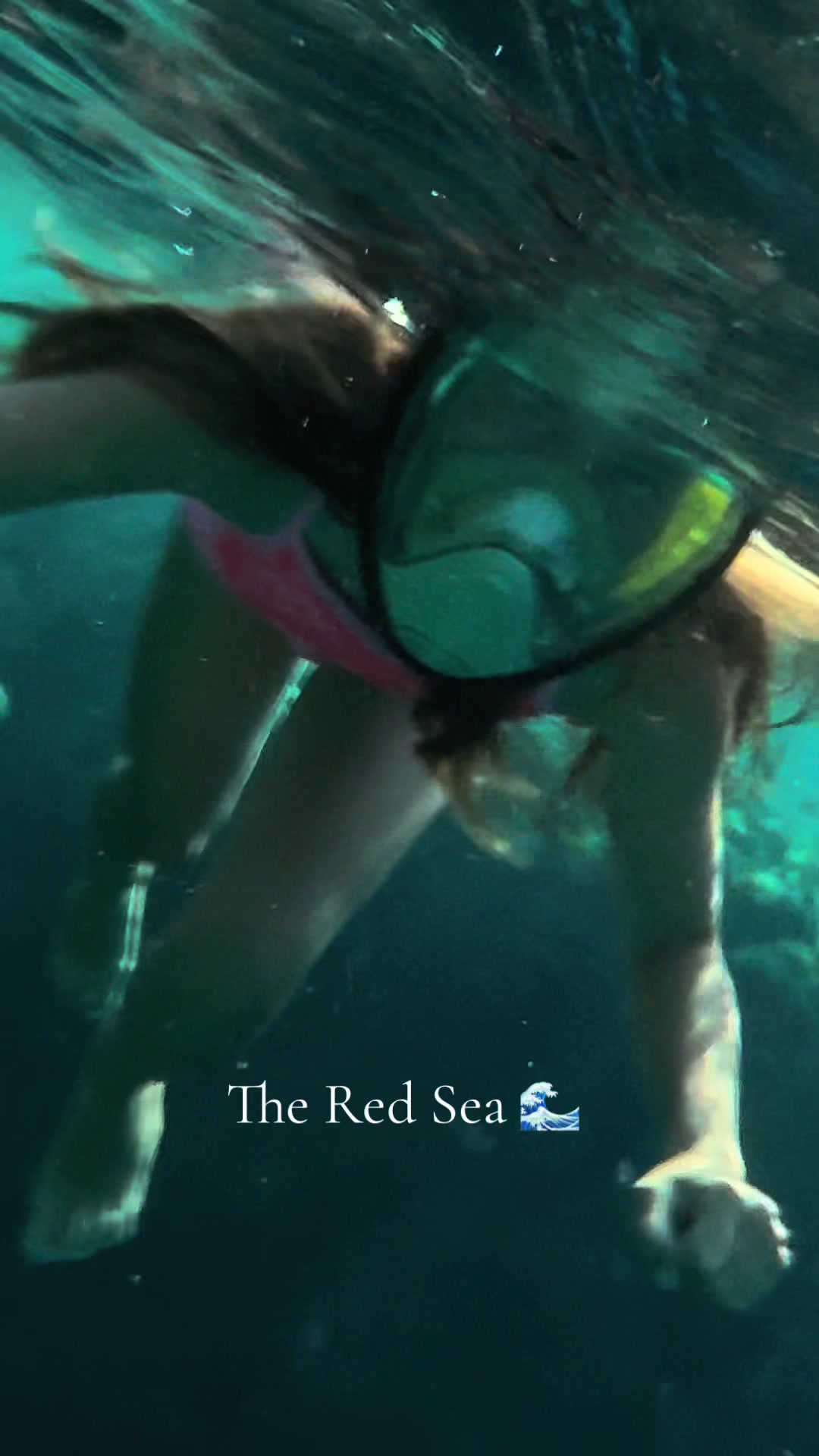 @Aliana🐠🏝