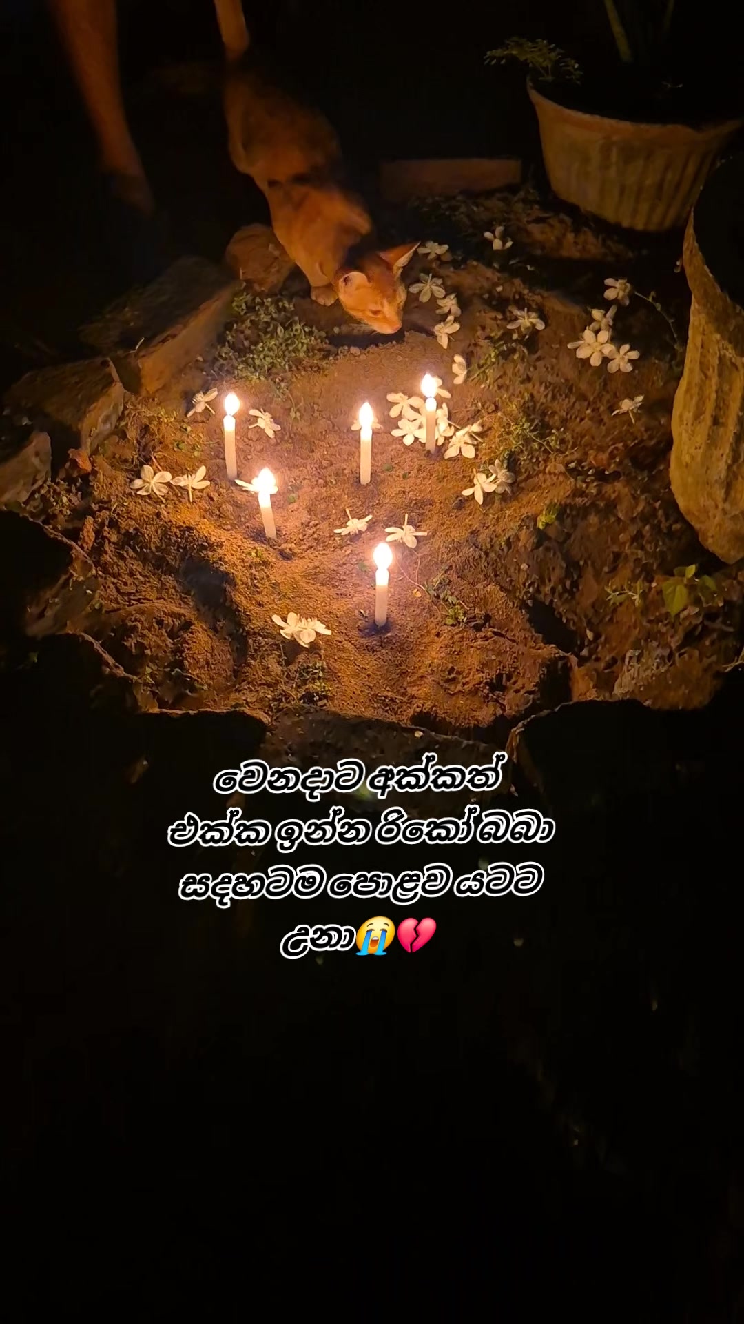 @Sandali Sathsarani