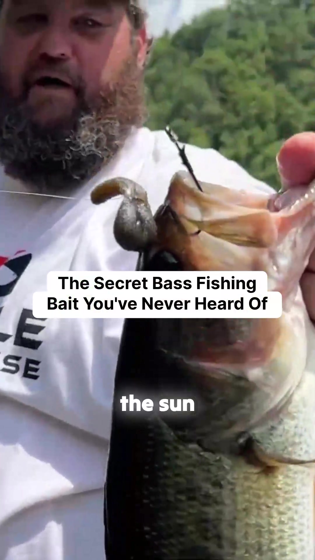 @bassgeek