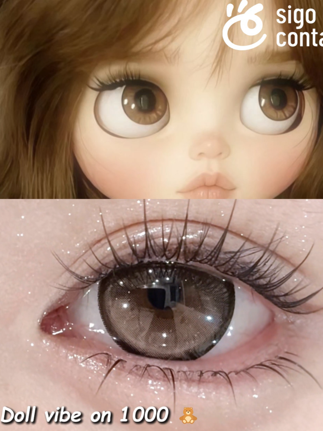 @sigocontacts_official