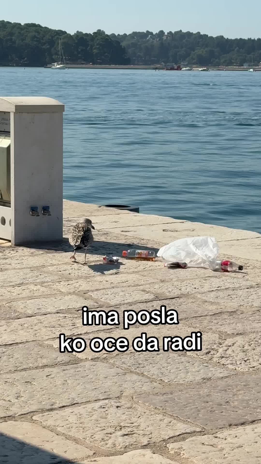 @Lucija Lucek