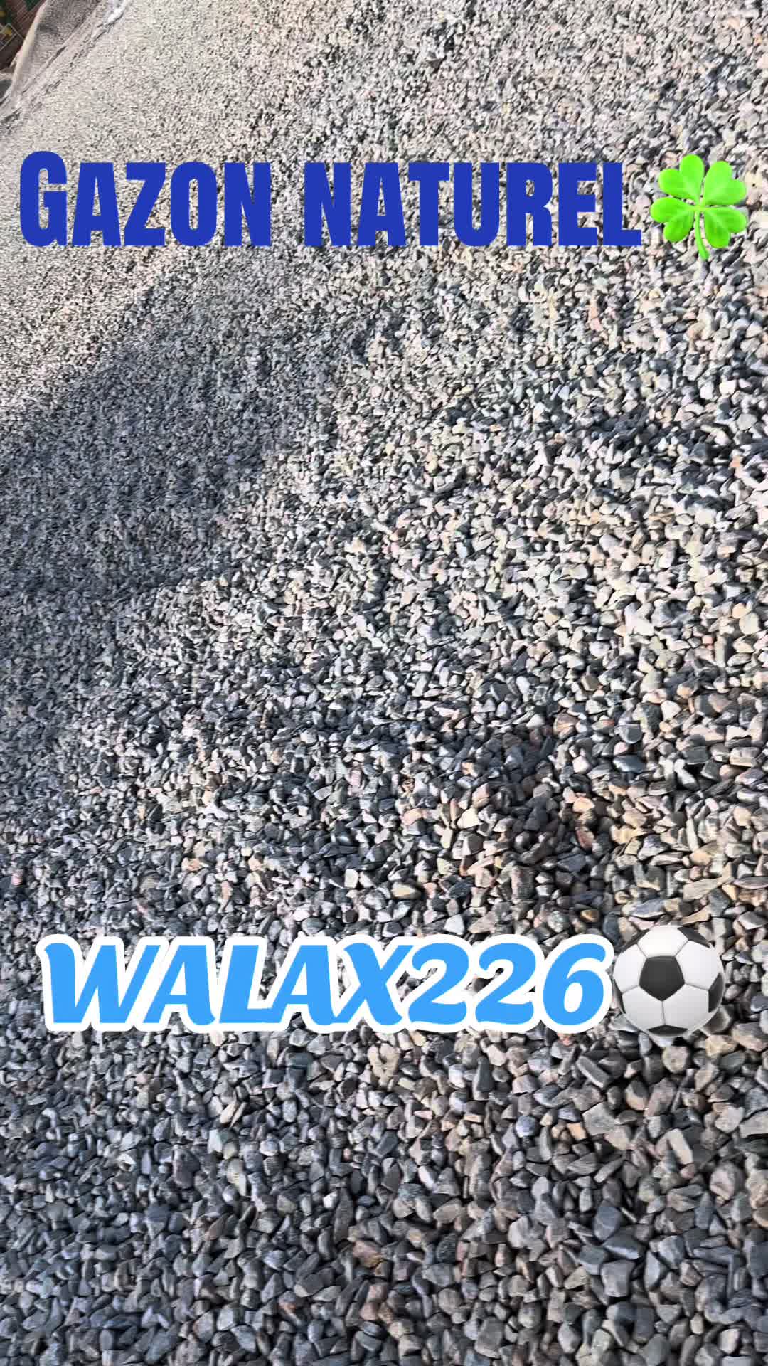 @WALAX226