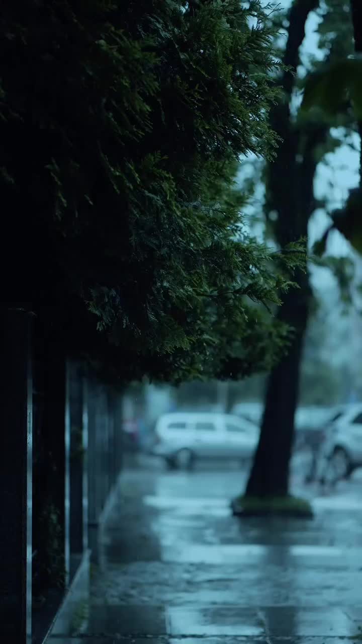 @★彡[ᴠɪʙɪɴɢᴡɪᴛʜ_ᴡᴀꜱɪꜰꜱʜᴀʜᴢᴀᴅ]彡★