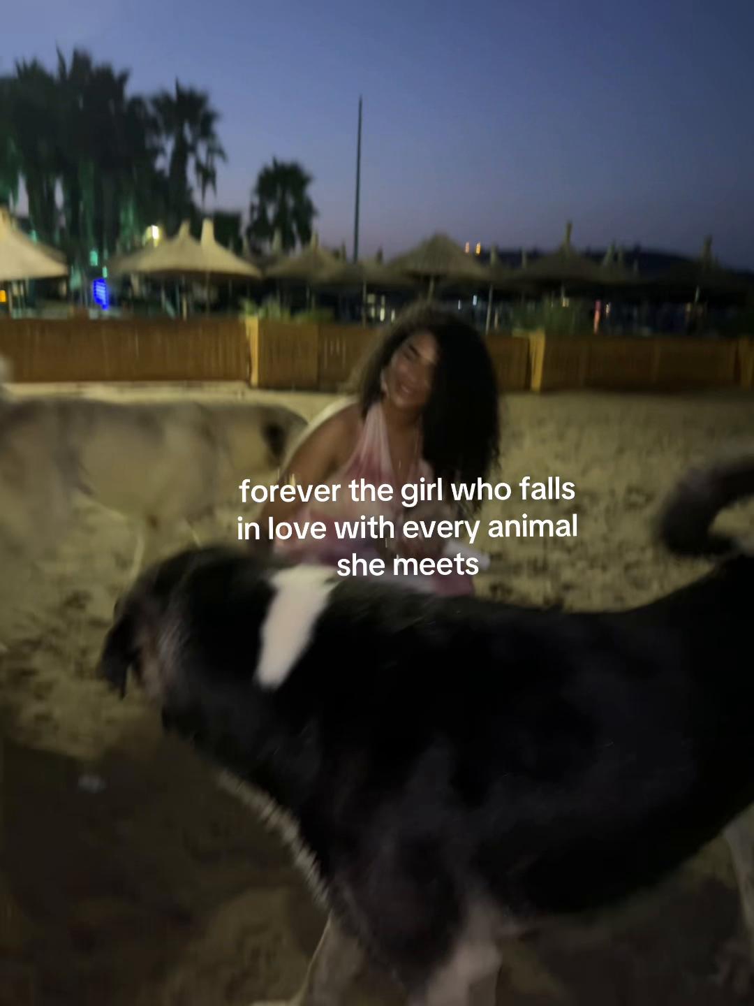 @☼︎