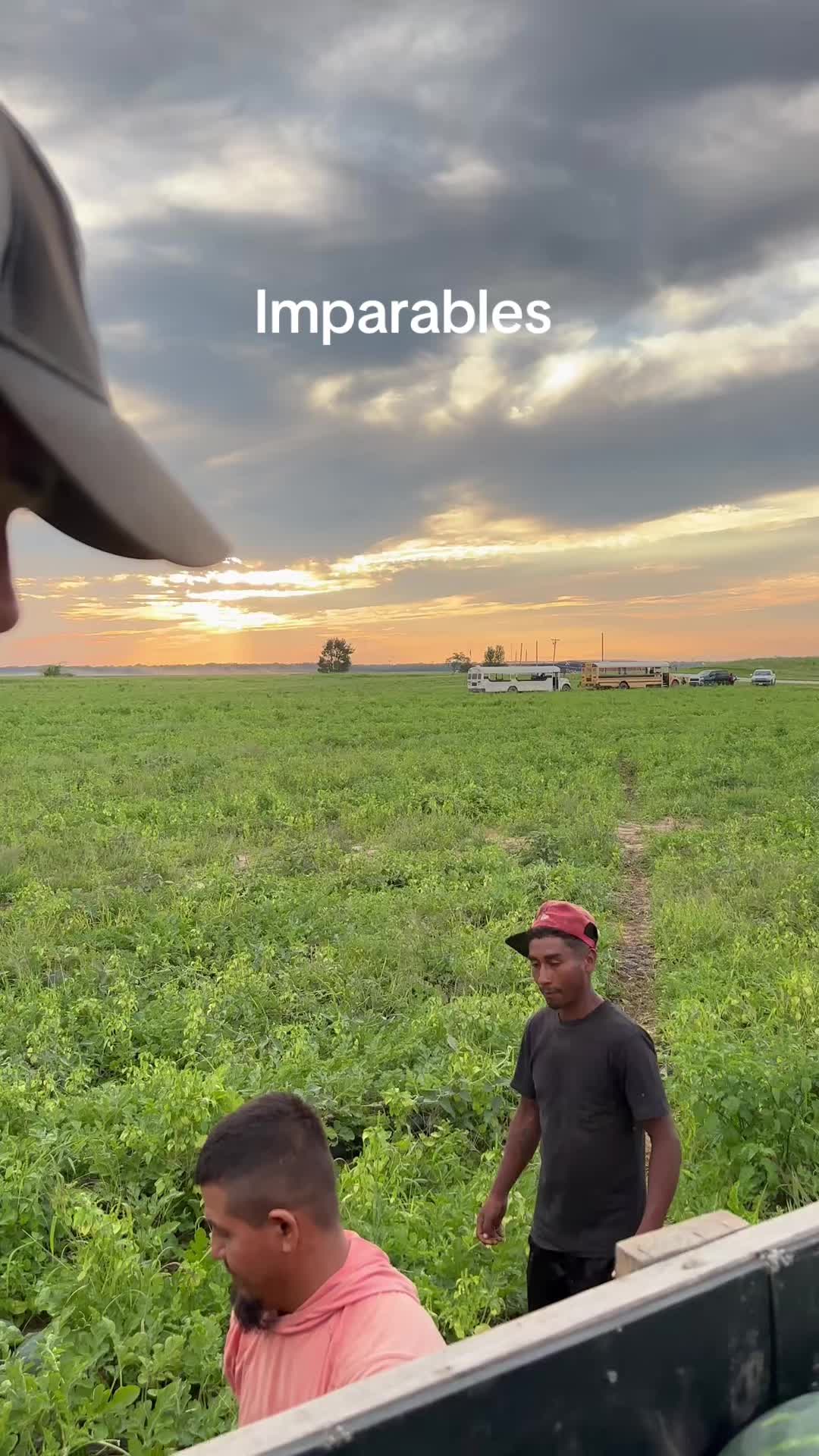 @Juan Ochoa cosechando con amor