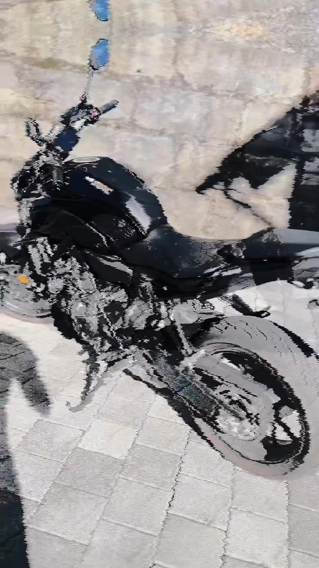 @xfmn.bike