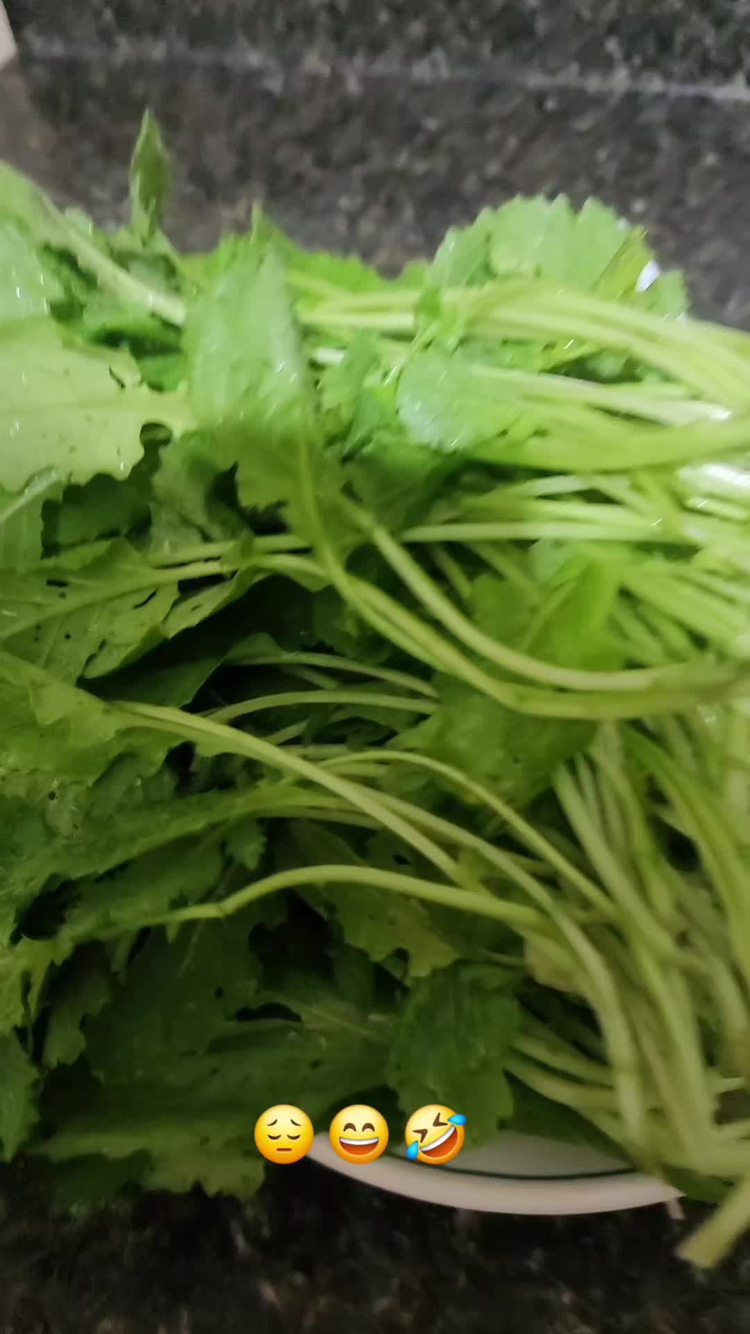 @𝙇𝙪𝙞𝙞502👨&zwj;🌾