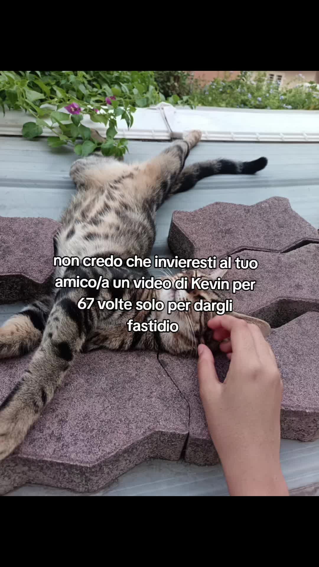 @𝐅𝐀𝐑𝐈𝐀