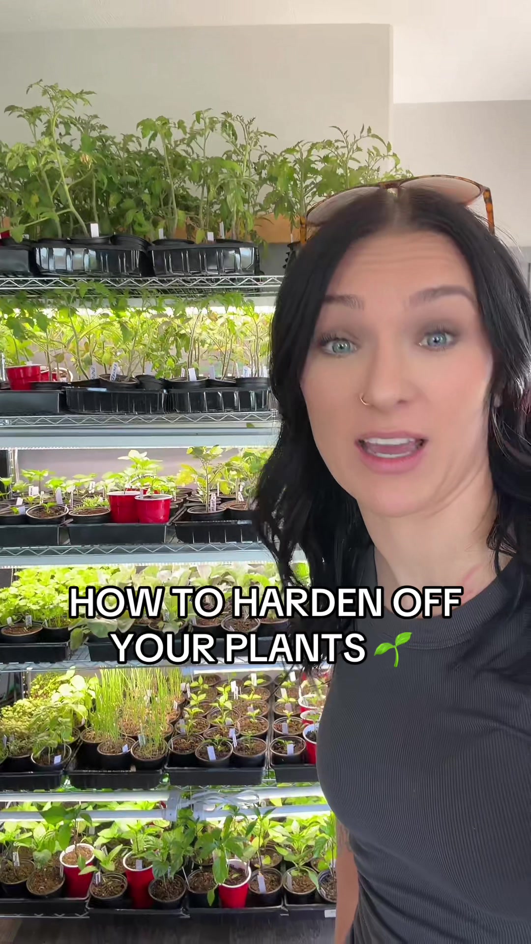 @Erica | Anderson Acres