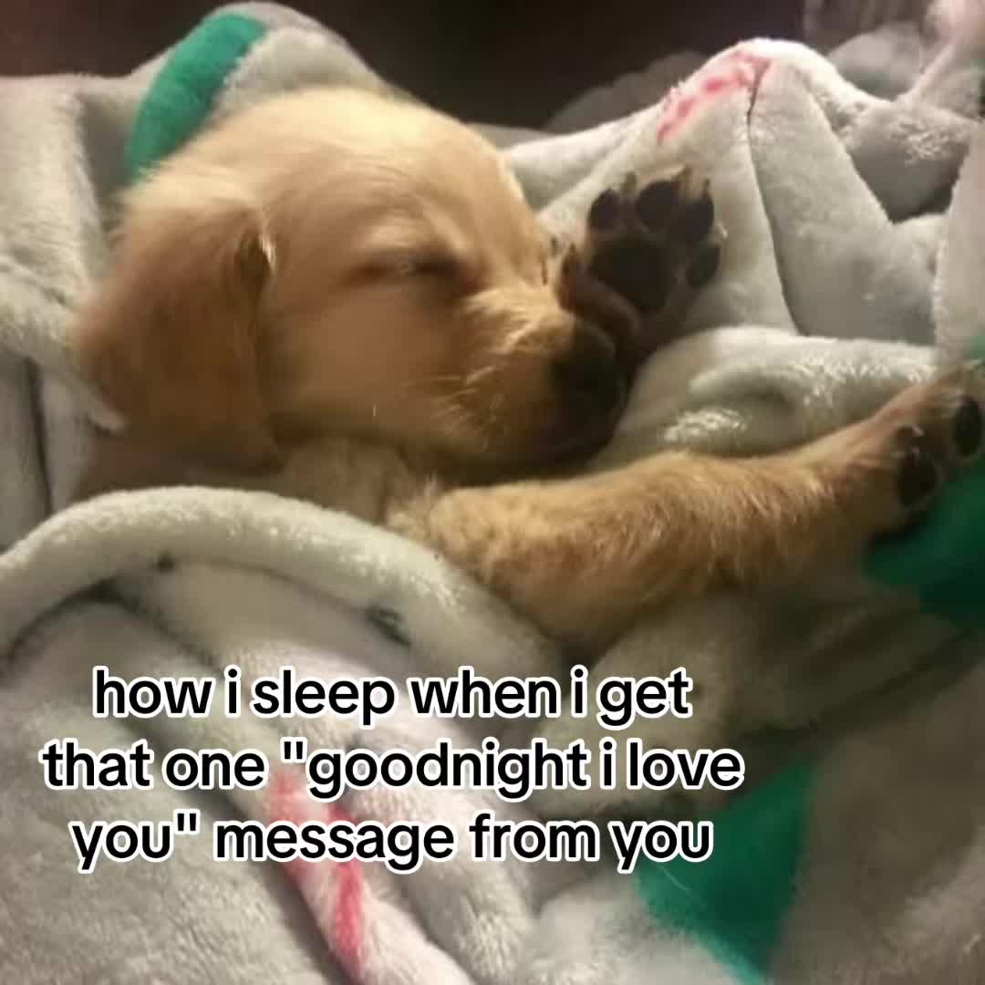@The Bark Archive