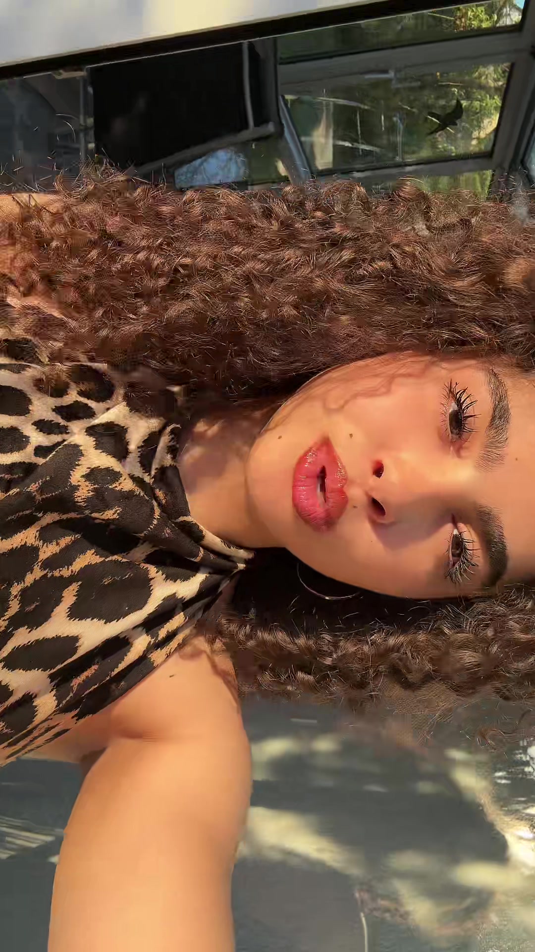 @aurora_nour