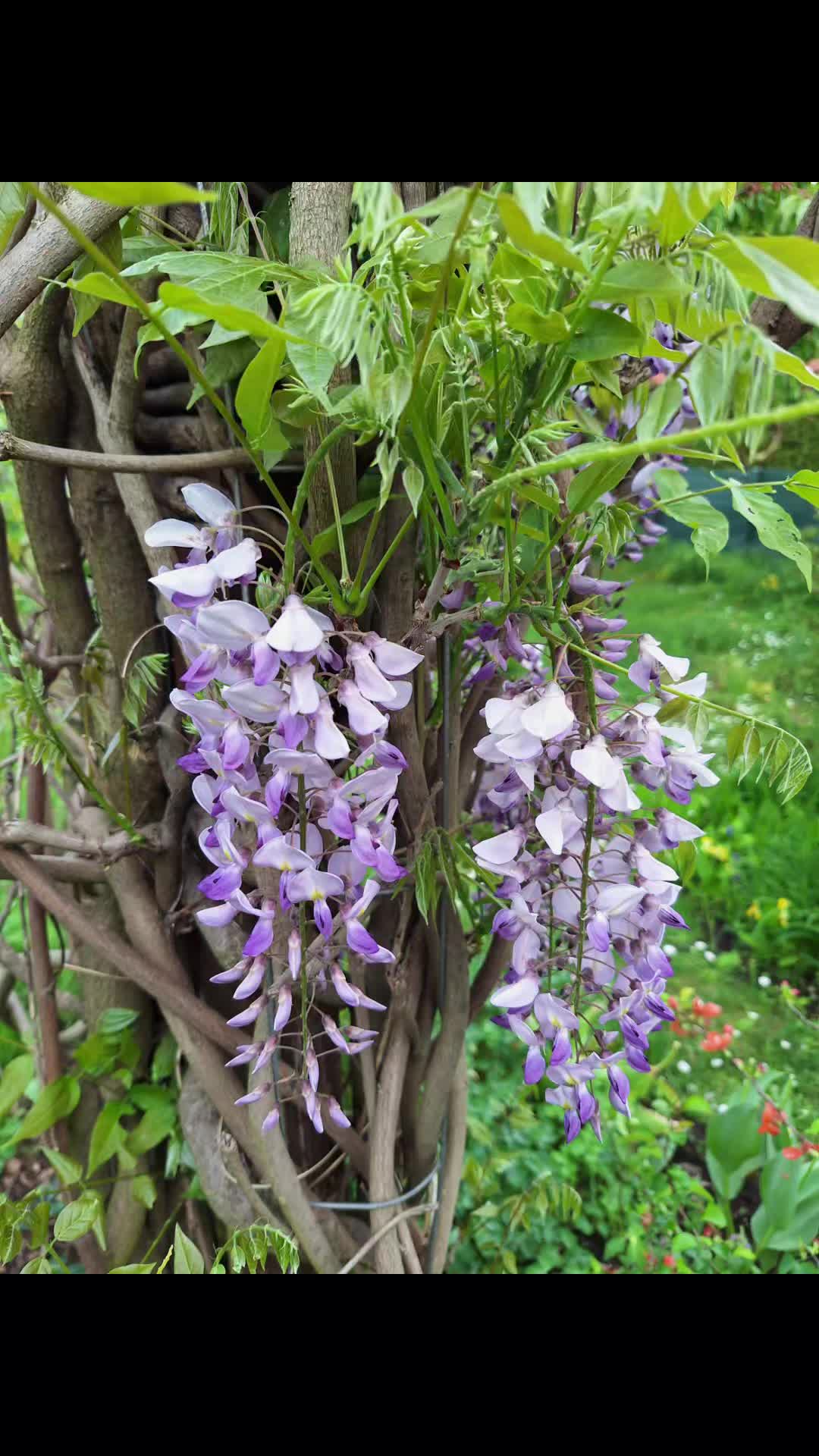 @Natur und Garten