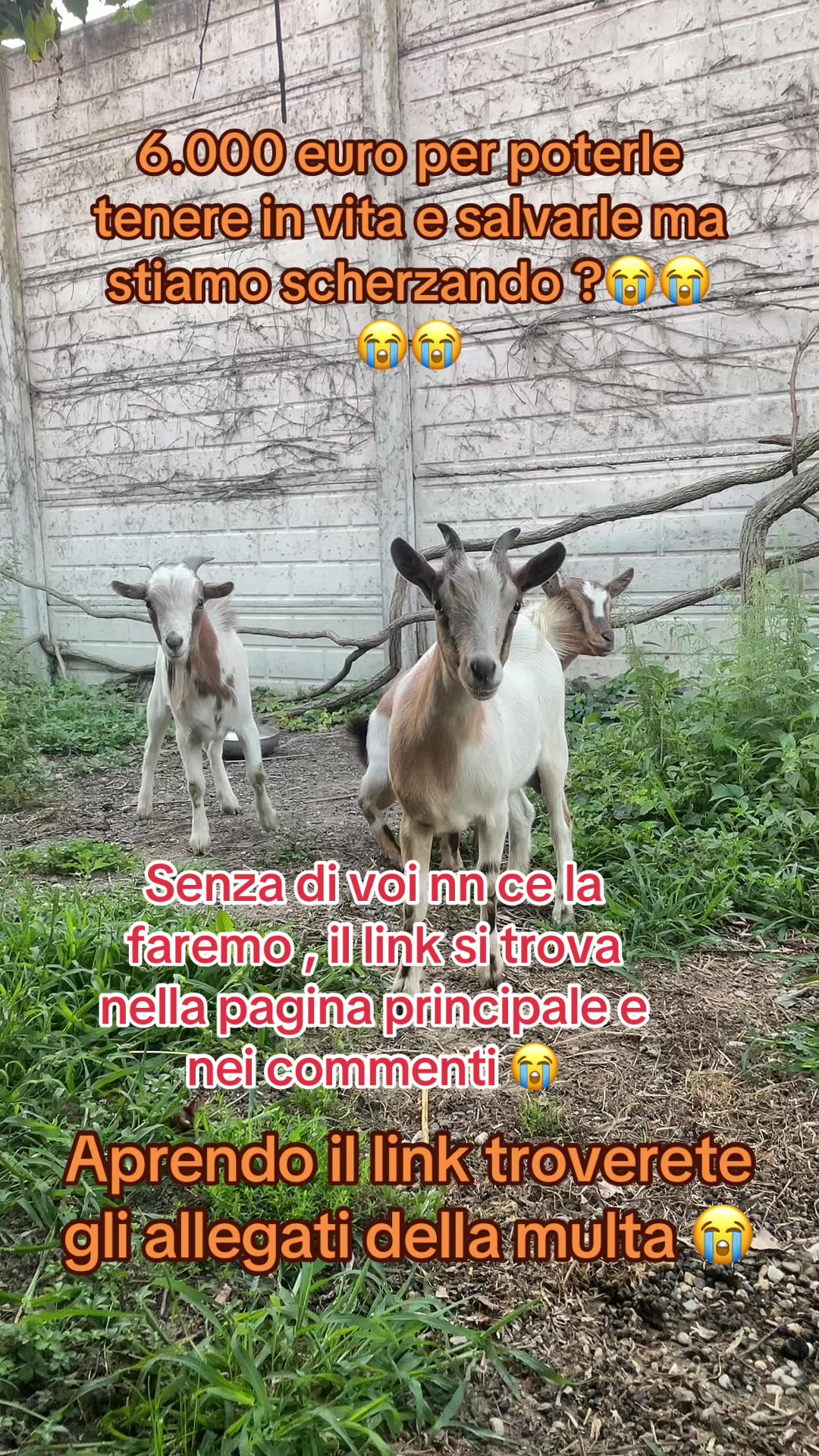 @KIRA❤️LEYLA💙