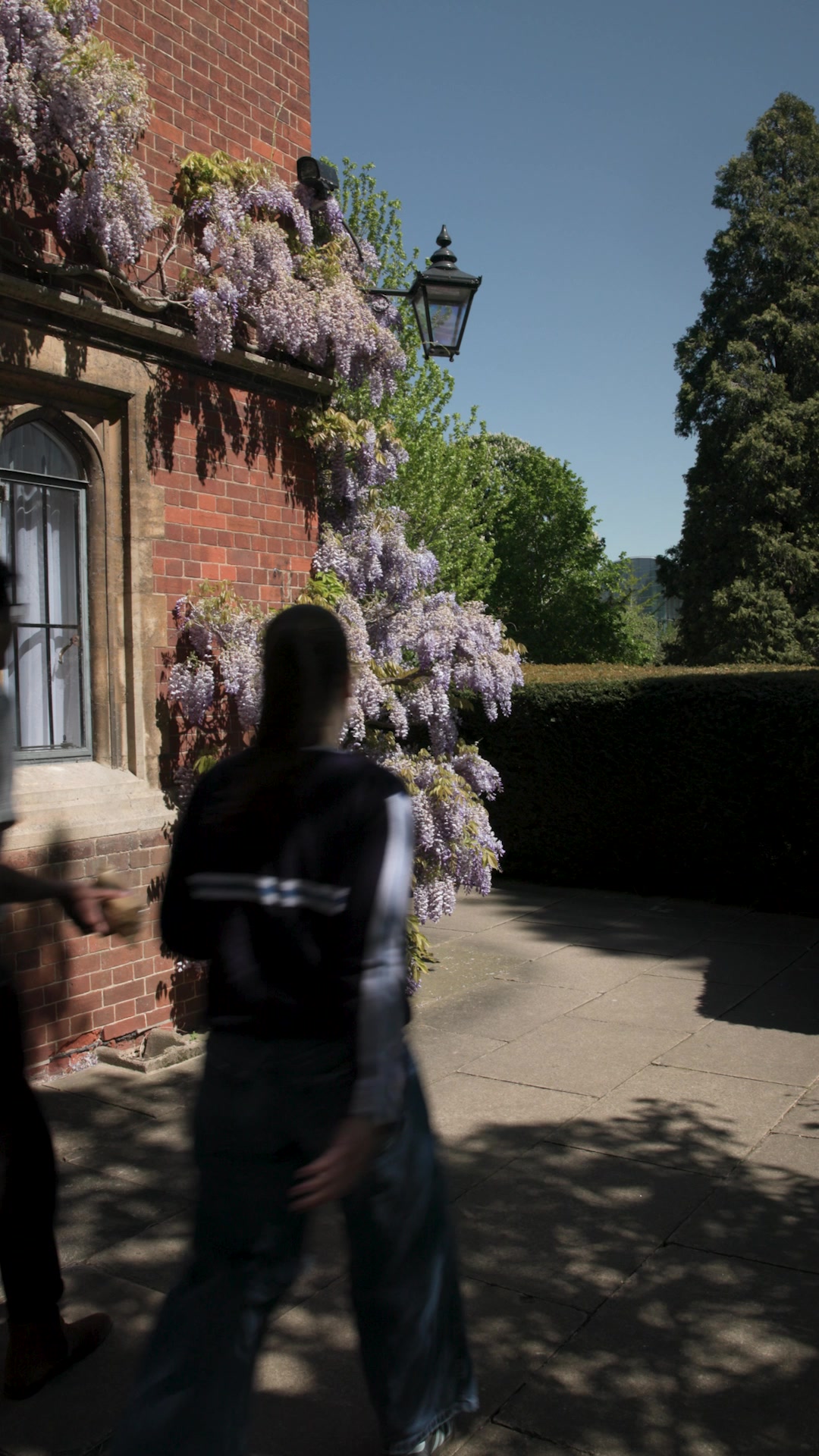 @Cambridge University