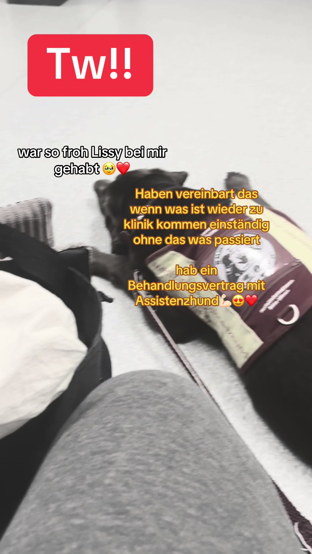 @teamlidialissy