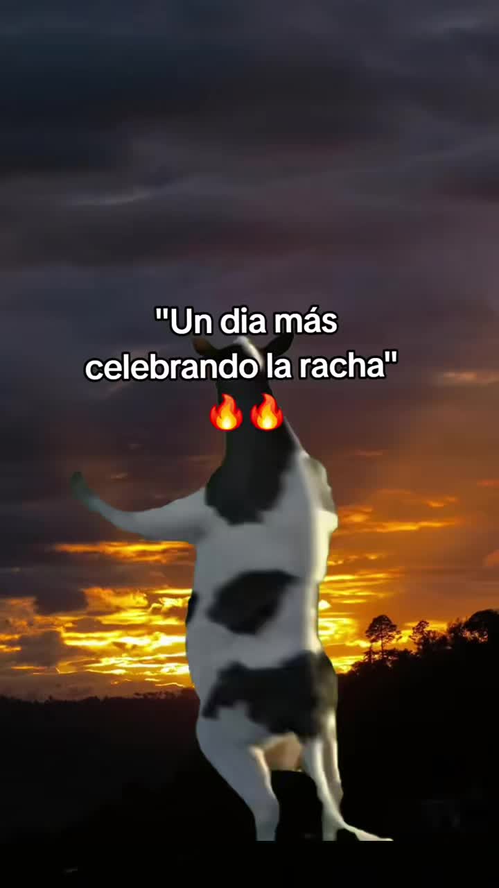 @Henry Ambrocio