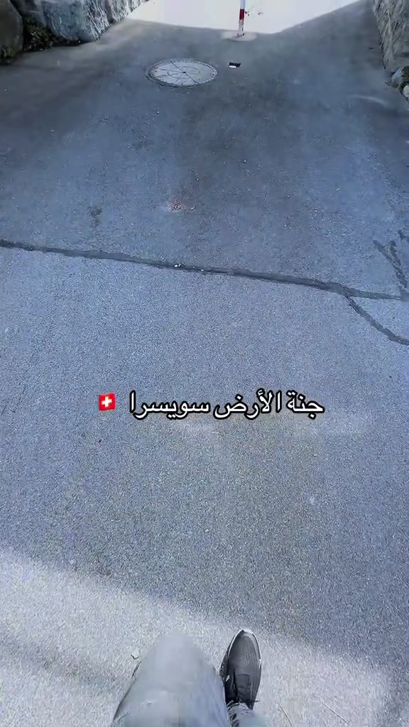 @mamo.bebani