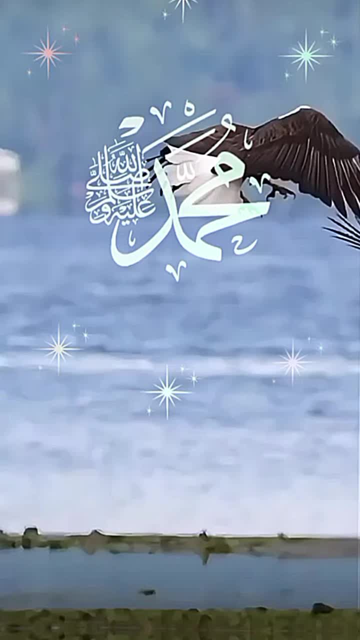@Amira.🇧🇪🇩🇿