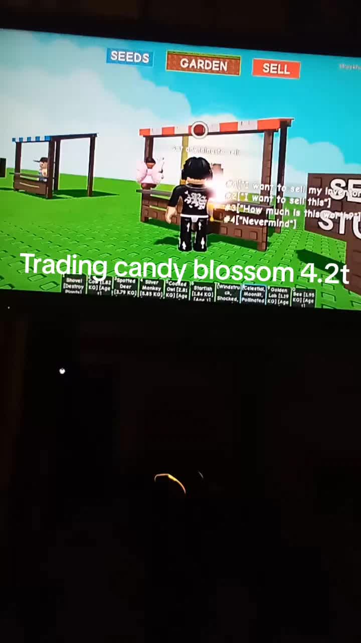 @DZDribbles