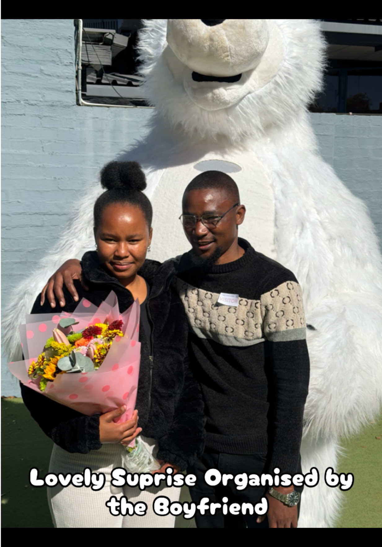 @dancingmascotssa