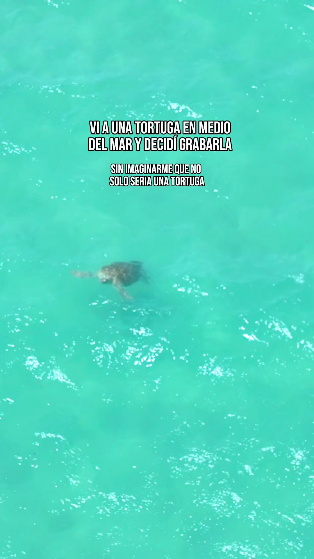 @Murph_holbox