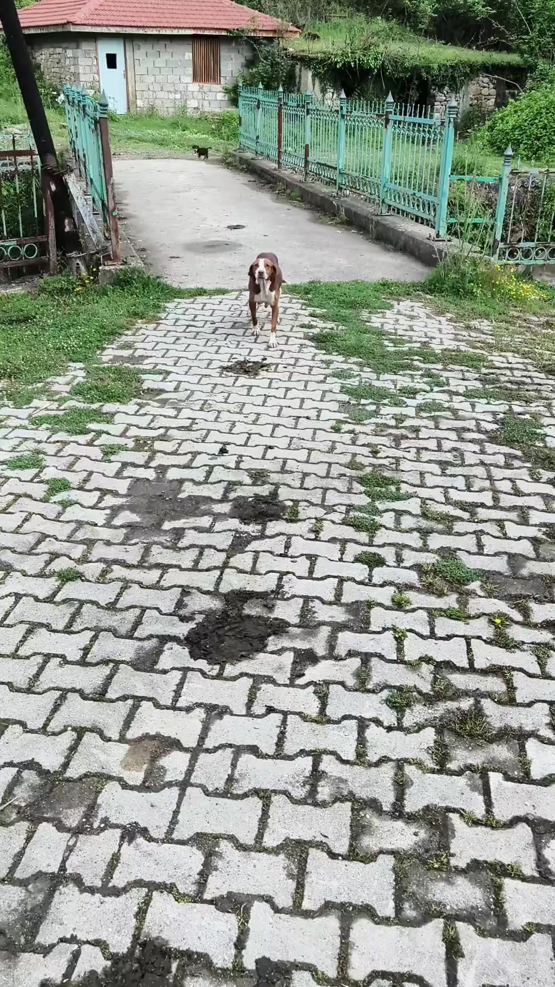 @Ali Gözsüz67