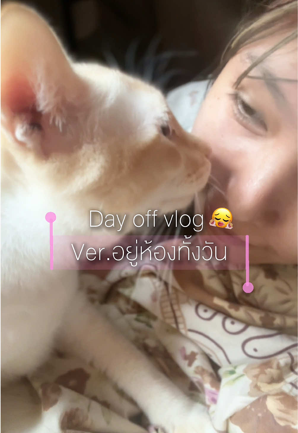 @บุดชอบแมวส้มᐢᯅ̈ᐢ₎