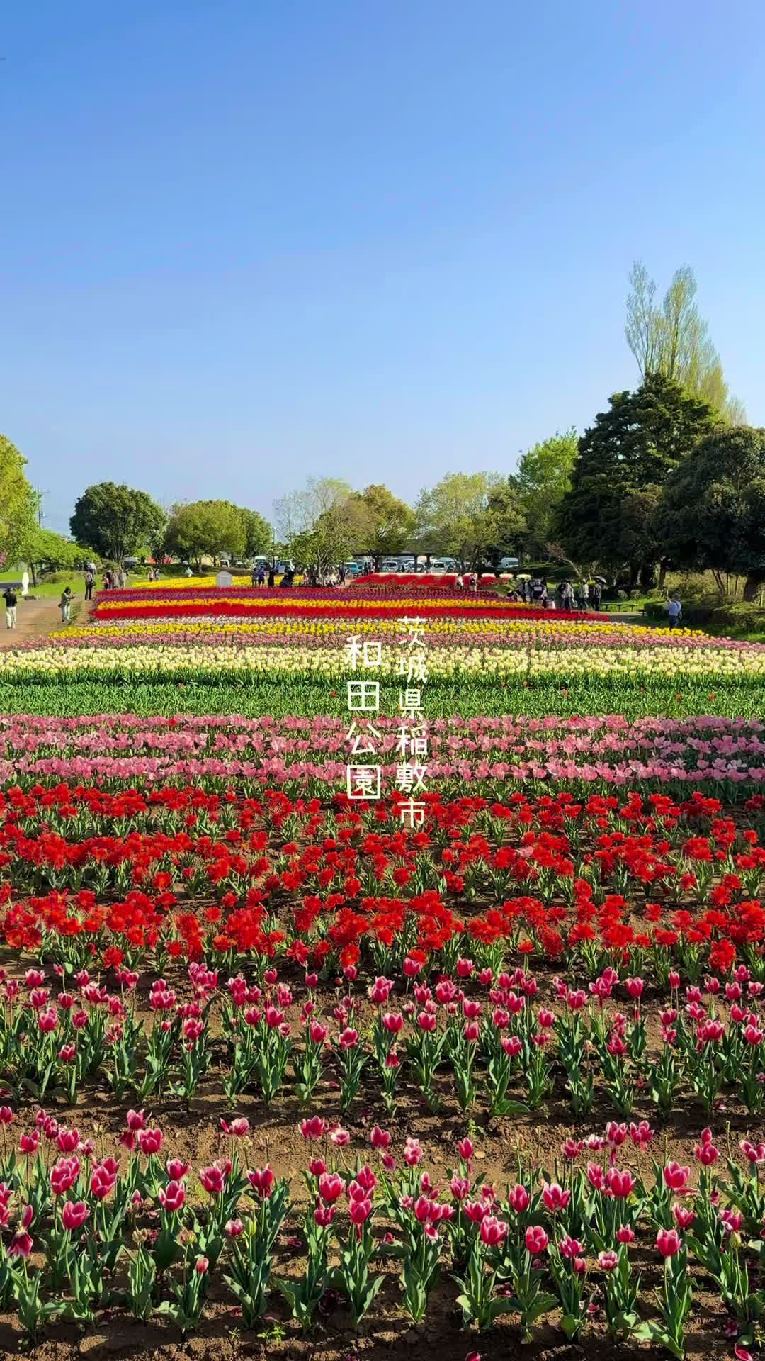 @けん/茨城の絶景