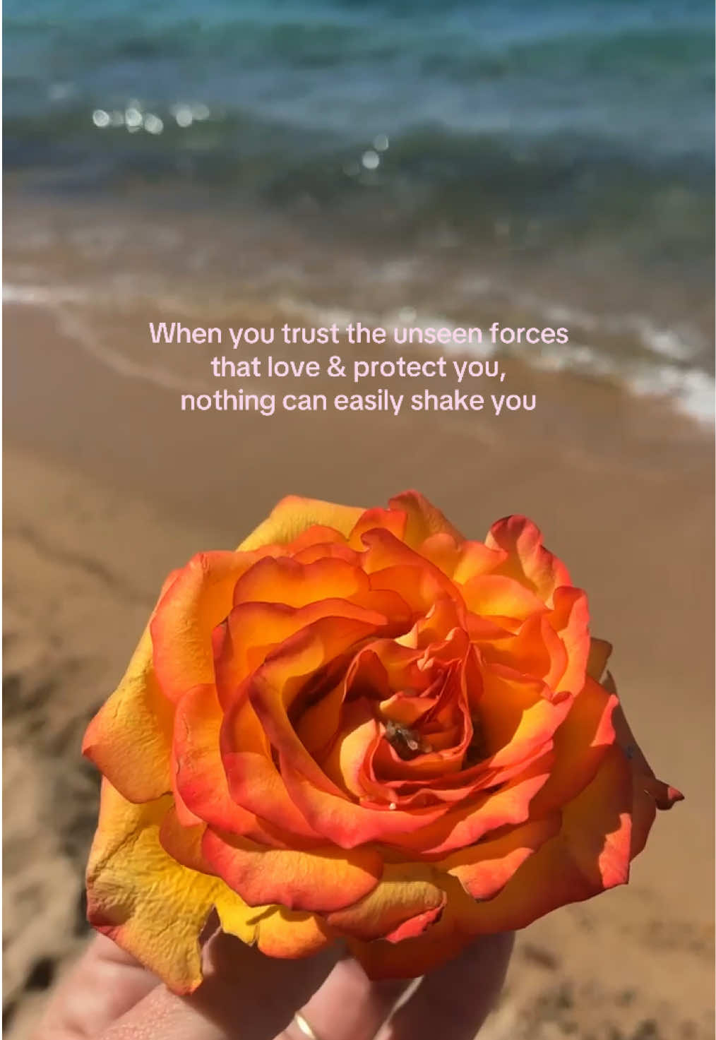 @Lex 🌺🧚🏼♀️