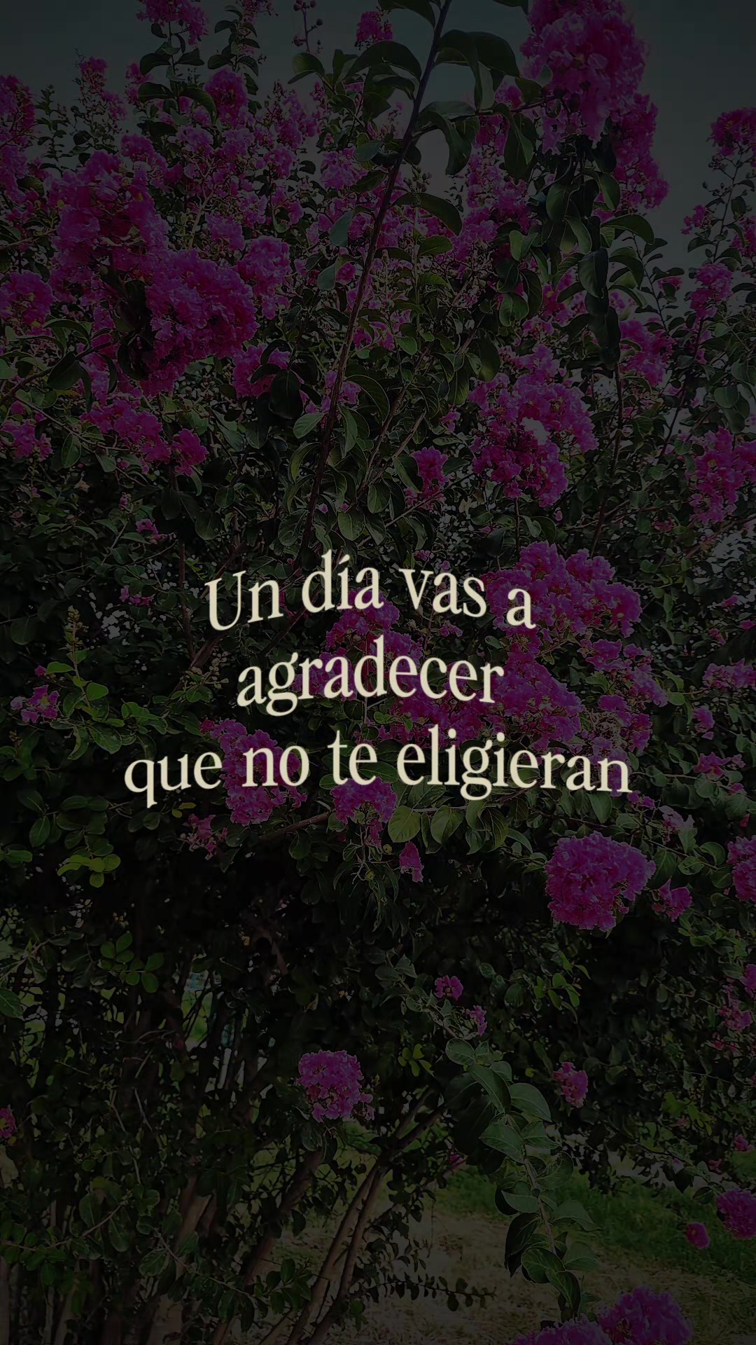 @Gabriela Uribe