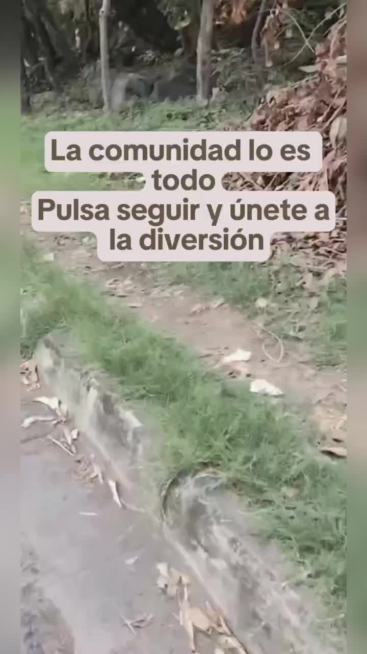 @💃🦋yo soy tu princesa🦋 💃
