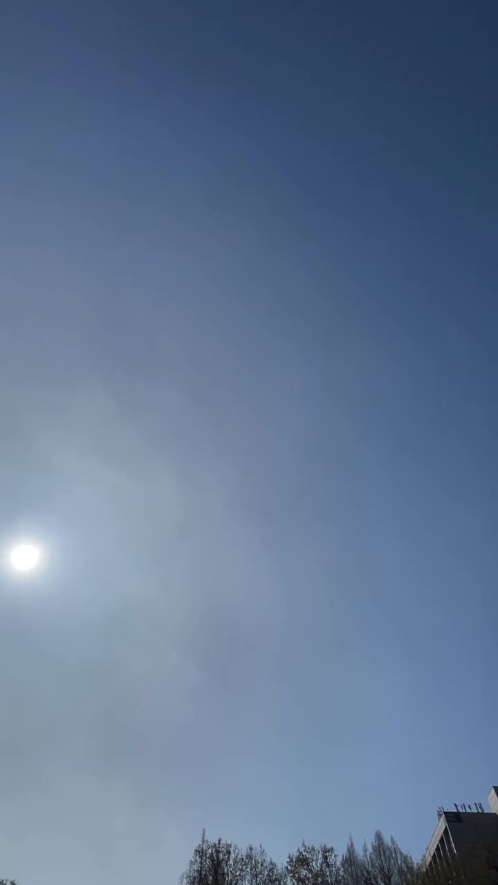 @🦅연세대학교🦅